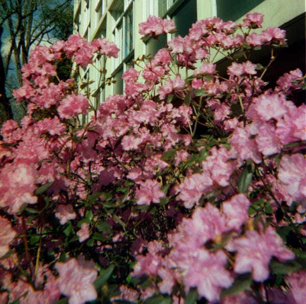 Statement of Purpose